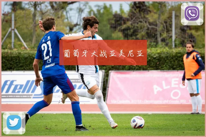 葡萄牙大战亚美尼亚