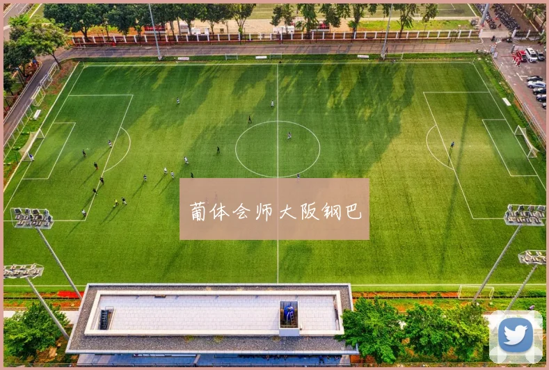 葡体会师大阪钢巴
