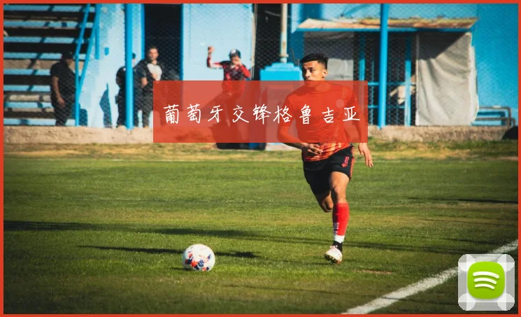 葡萄牙交锋格鲁吉亚