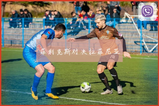 菲利克斯对决拉菲尼亚