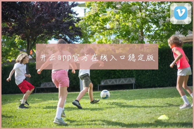 开云app官方在线入口稳定版