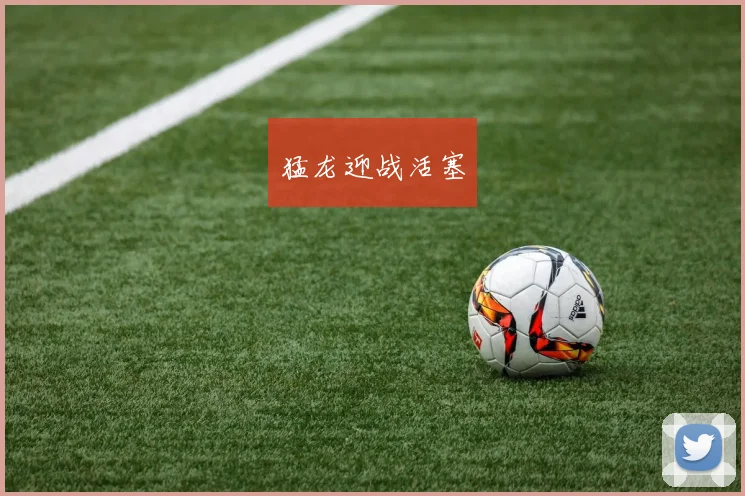 猛龙迎战活塞