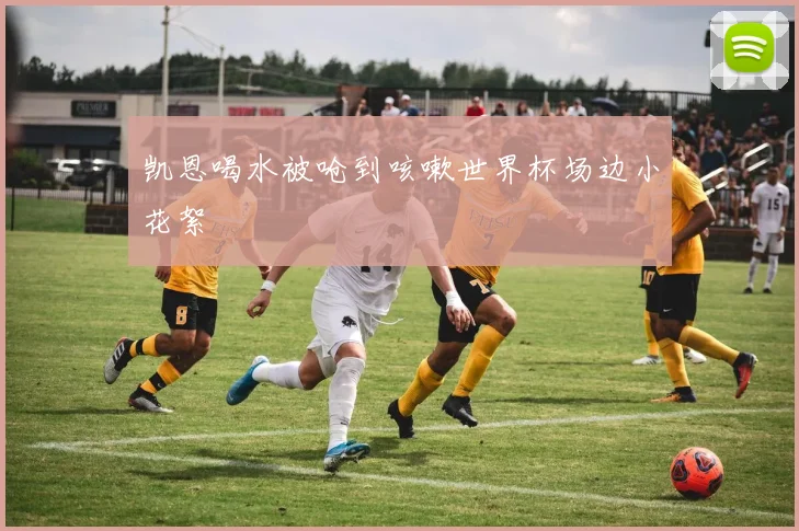 凯恩喝水被呛到咳嗽世界杯场边小花絮