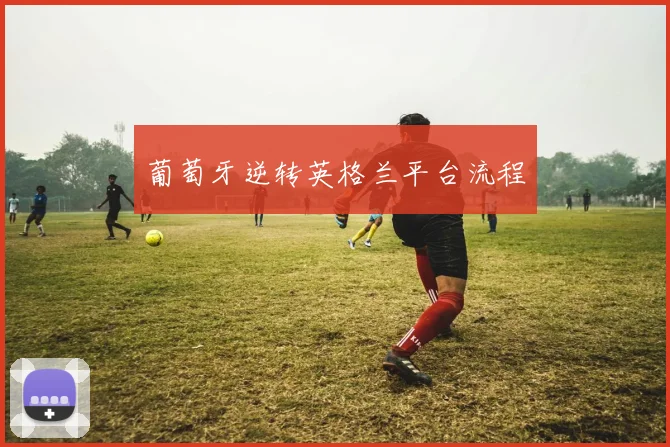 葡萄牙逆转英格兰平台流程