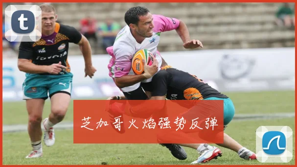 芝加哥火焰强势反弹