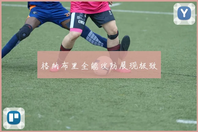 格纳布里全能攻防展现极致