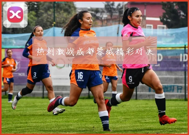 热刺激战成都蓉城精彩对决