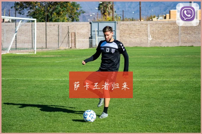 萨卡王者归来