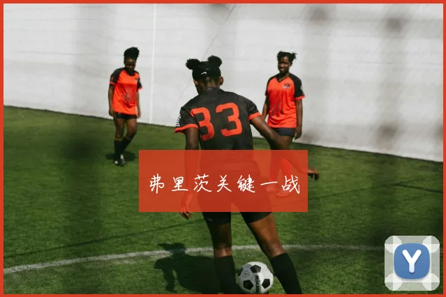 弗里茨关键一战