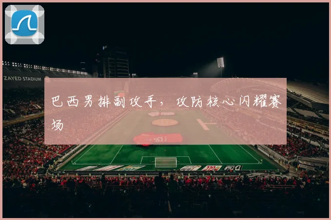 巴西男排副攻手，攻防核心闪耀赛场