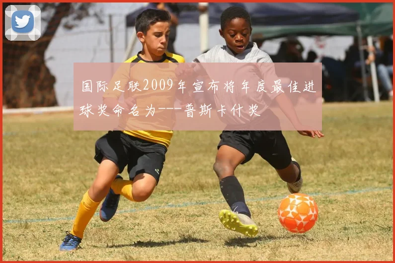 国际足联2009年宣布将年度最佳进球奖命名为---普斯卡什奖