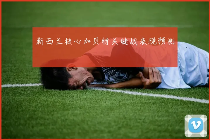 新西兰核心加贝特关键战表现预测