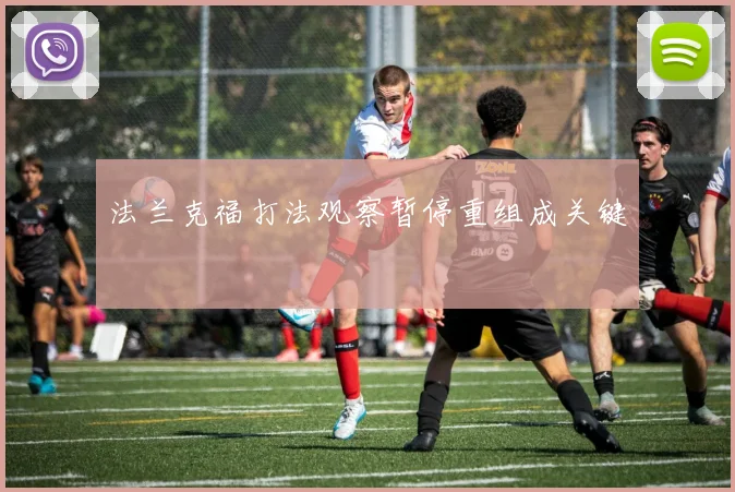 法兰克福打法观察暂停重组成关键