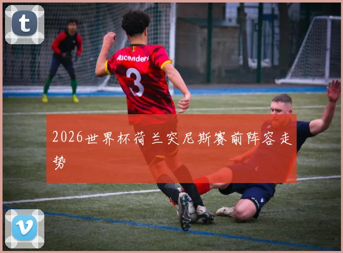 2026世界杯荷兰突尼斯赛前阵容走势