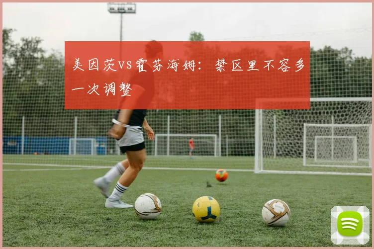 美因茨vs霍芬海姆:禁区里不容多一次调整