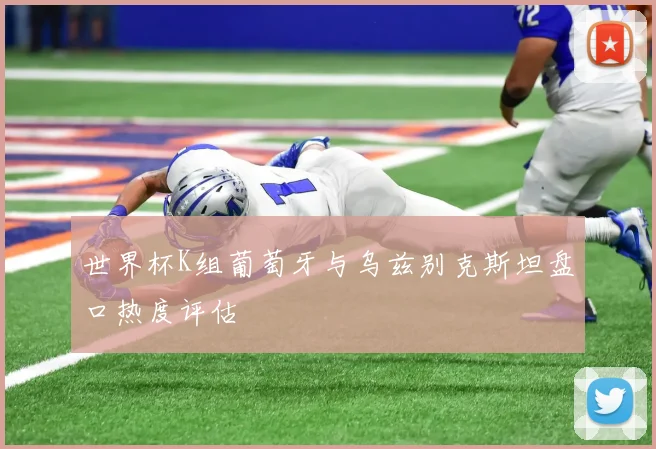 世界杯K组葡萄牙与乌兹别克斯坦盘口热度评估